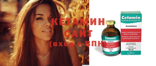 гидра Киселёвск