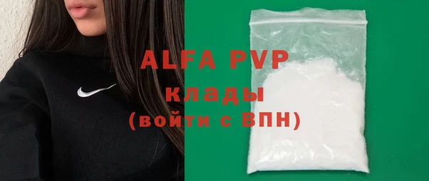 гидра Киселёвск