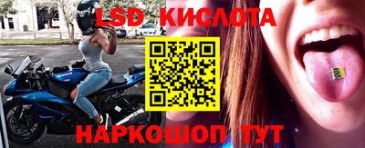 спайс Берёзовский