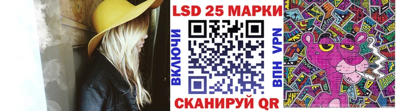 где найти наркотики  Губаха  Марки N-bome 1500мкг 