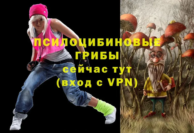 Галлюциногенные грибы прущие грибы  где купить наркоту  Губаха 