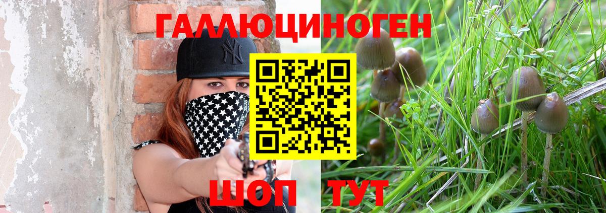 Галлюциногенные грибы ЛСД Губаха
