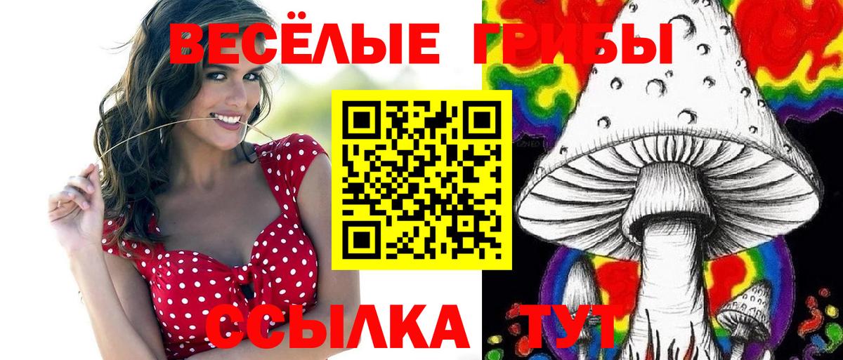 Псилоцибиновые грибы мицелий Губаха