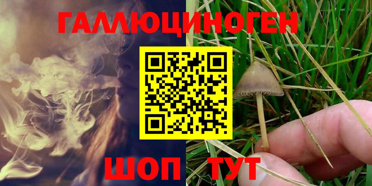 Псилоцибиновые грибы Psilocybine cubensis  Галлюциногенные грибы прущие грибы  Вход с VPN  Губаха 