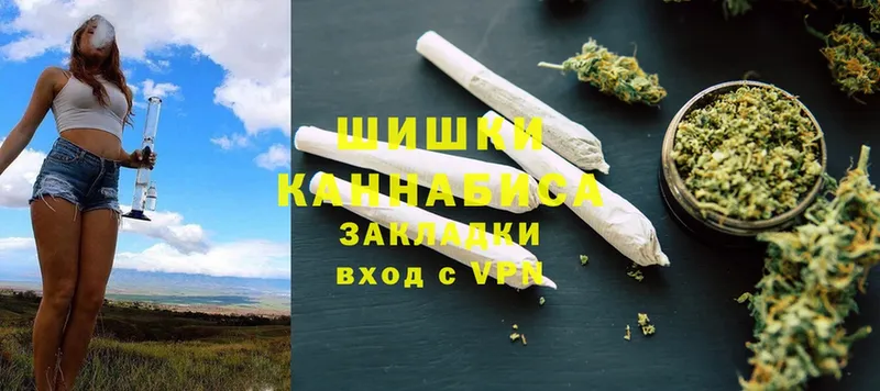 MEGA ТОР  мориарти Telegram  Губаха  Марихуана White Widow  где можно купить  